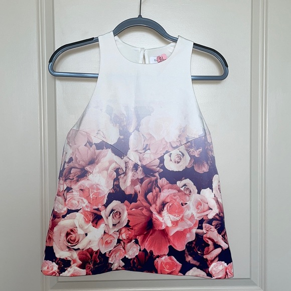 AS NEW! Finders Keepers Pink/White Ombré Rose Top - Picture 1 of 6